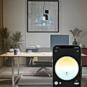 Philips Hue Smart-ledlamp White Ambiance 1600 (E27, Dimbaar, Koud wit, 1.600 lm, 11,8 W) | BAUHAUS