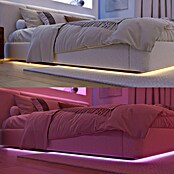 Philips Hue Ledstrips White and Color Gradient Base Kit Flux (Lengte: 6 m, Lichtkleur: RGBW, 2.000 lm, 20 W) | BAUHAUS