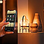 Philips Hue Smart-LED-Lampen Set White and Color 1100 matter (E27, Dimmbar, RGB, 1 100 lm, 8,1 W, 2 Stk.) | BAUHAUS