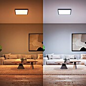 Philips Hue LED-Panel White Ambience Aurelle (39 W, L x B x H: 60 x 60 x 4,6 cm, Schwarz, Warmweiß) | BAUHAUS