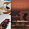 Philips Hue Bombilla LED inteligente Hue Essential (E27, Intensidad regulable, RGBW, 806 lm, 8 W, 1 ud.) | BAUHAUS