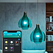 Philips Hue Smart-LED-Lampe Set mit Dimmcontroller, Steuerzentrale (E27, Dimmbar, RGBW, 2 Stk.) | BAUHAUS