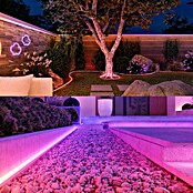Philips Hue Ledstrips Outdoor White and Color Gradient Neon (Lengte: 5 m, Lichtkleur: RGBW, 3.000 lm, 30 W) | BAUHAUS