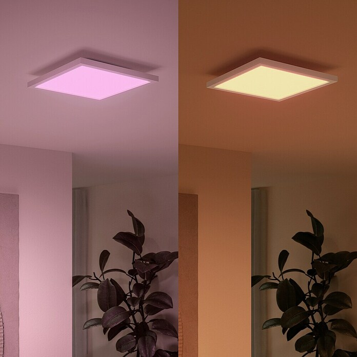 Philips Hue LED-Panel White & Color Ambiance Surimu (60 W, L x B x H: 60 x 60 x 4,8 cm, Weiß, Opal, RGBW) | BAUHAUS