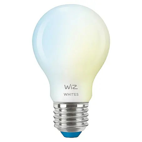 Philips Wiz Smart-LED-Lampe