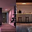 Philips Hue LED-Panel rund White & Color Ambiance Surimu (60 W, Weiß, Opal, RGBW) | BAUHAUS