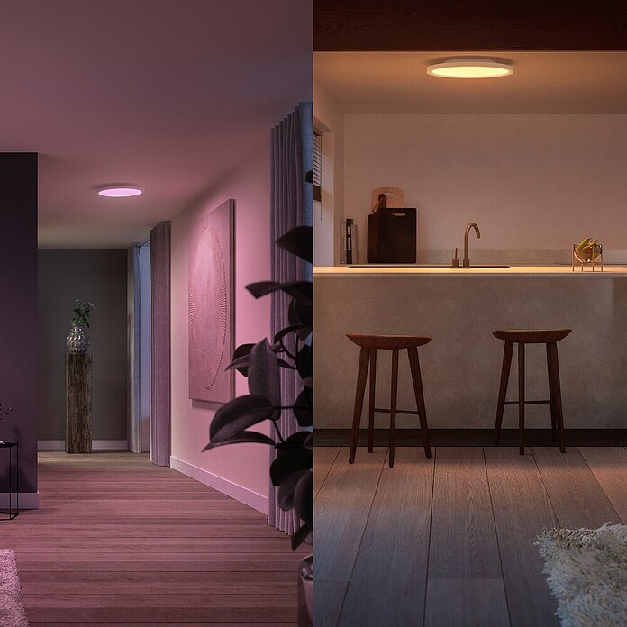 Philips Hue LED-Panel rund White & Color Ambiance Surimu (60 W, Weiß, Opal, RGBW) | BAUHAUS