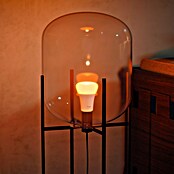 Philips Hue Smart-LED-Lampe White and Color 1600 matter (E27, Dimmbar, RGB, 1 600 lm, 11,8 W) | BAUHAUS