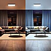 Philips Hue LED-Panel White Ambience Aurelle (39 W, L x B x H: 60 x 60 x 4,6 cm, Weiß, Warmweiß) | BAUHAUS