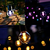 Philips Hue Led-feestverlichting Festavia 7 m (7 m, Aantal lichtbronnen: 10 st.) | BAUHAUS