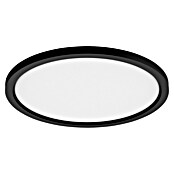 Philips Hue LED-Panel rund White Ambience Aurelle (21 W, Ø x H: 39,5 x 4,7 cm, Schwarz, Schwarz, Warmweiß) | BAUHAUS