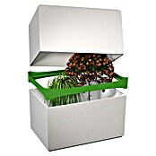 Surplus Systems Okvir  (60 x 40 cm, Crne boje) | BAUHAUS