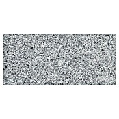 Plošča iz naravnega kamna Bianco Cordo  (30,5 x 61 cm, Sive barve, Mat, Ščetkano) | 4321 - Granit BiancoC.(Platten+Formteile) | EAFH - Natursteinplatten | EAF - Fliesen | EA - Fliesen | E - Fliesen | BAUHAUS