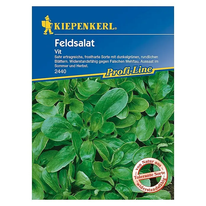 Kiepenkerl Profi-Line Salatsamen Feldsalat Vit - Valerianella locusta, Erntezeit: Januar, Saatzeit: September - Abbildung des Feldsalat Vit-Samenpakets von Kiepenkerl, einer ertragreichen, frostharten Sorte für Sommer- und Herbstaussaaten.