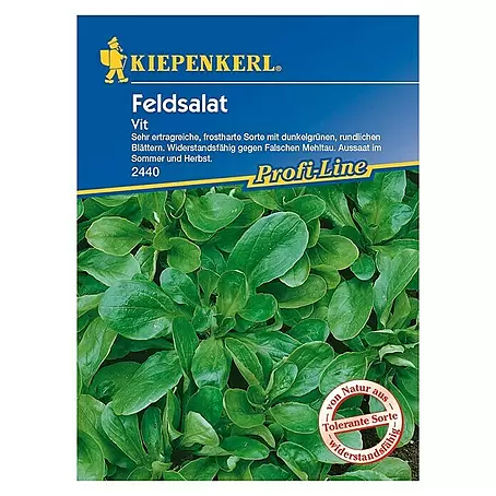 Kiepenkerl Profi-Line Salatsamen Feldsalat Vit