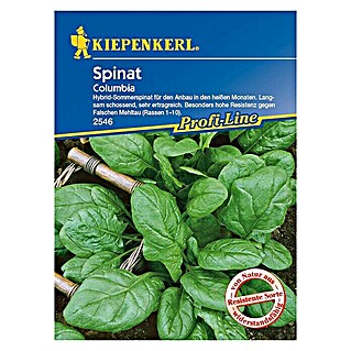 Kiepenkerl Profi-Line Gemüsesamen Spinat Columbia (Spinacia oleracea, Erntezeit: Juni)