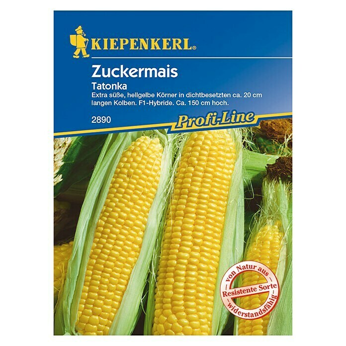 Kiepenkerl Profi-Line Zuckermais (Inhalt ausreichend für ca.: 20 Pflanzen)