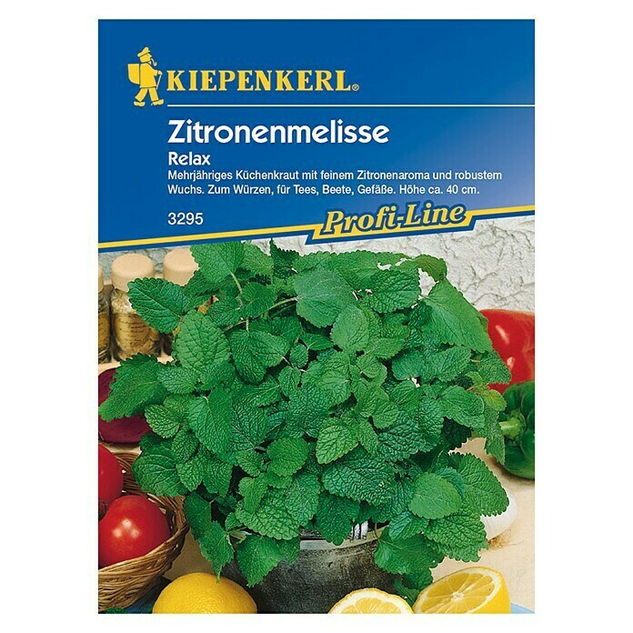 Kiepenkerl Profi-Line Zitronenmelisse Relax (Melissa officinalis, Inhalt ausreichend für ca.: 50 Pflanzen)