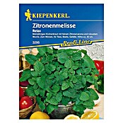 Kiepenkerl Profi-Line Zitronenmelisse Relax (Melissa officinalis, Inhalt ausreichend für ca.: 50 Pflanzen)