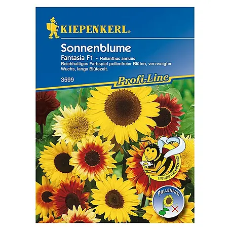 Kiepenkerl Profi-Line Blumensamen Sonnenblume