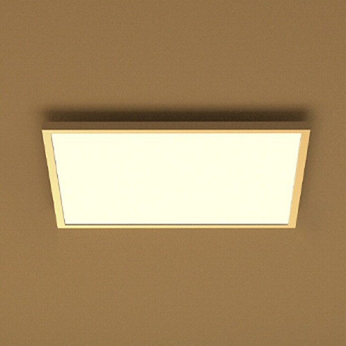 Philips Hue LED-Panel White & Color Ambiance Surimu (60 W, L x B x H: 60 x 60 x 4,8 cm, Weiß, Opal, RGBW) | BAUHAUS