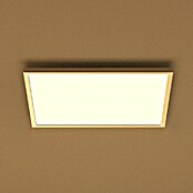 Philips Hue LED-Panel White & Color Ambiance Surimu (60 W, L x B x H: 60 x 60 x 4,8 cm, Weiß, Opal, RGBW) | BAUHAUS