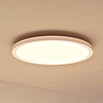 Philips Hue LED-Panel rund White & Color Ambiance Surimu (60 W, Weiß, Opal, RGBW) | BAUHAUS
