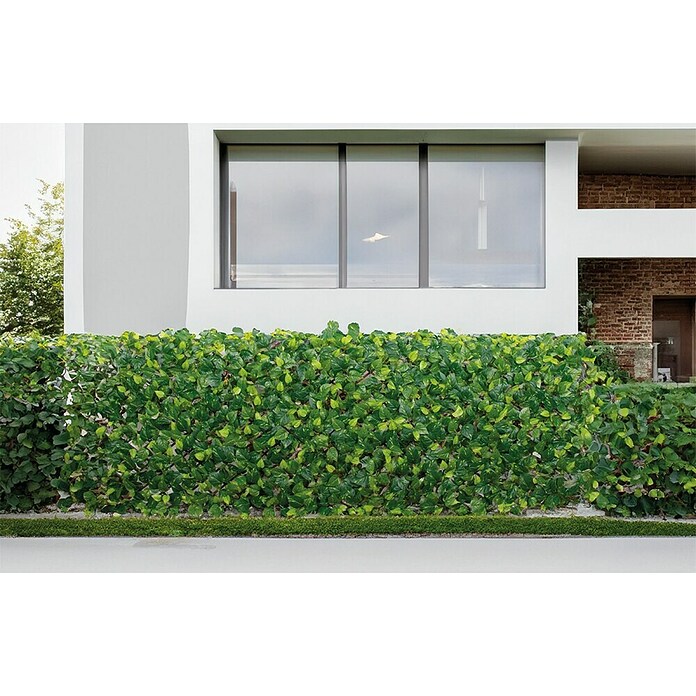 Vertikalni vrt Extensy Green  (Plastika, Do x Š: 90 x 180 cm) | 7428 - Sichtschutzmatten Kunststoff | IAGC - Sichtschutz | IAG - Außenbereichsausstattung | IA - Gartenhartware | I - Stadtgarten | BAUHAUS
