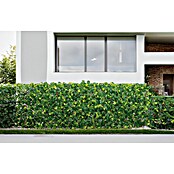 Vertikalni vrt Extensy Green  (Plastika, Do x Š: 90 x 180 cm) | 7428 - Sichtschutzmatten Kunststoff | IAGC - Sichtschutz | IAG - Außenbereichsausstattung | IA - Gartenhartware | I - Stadtgarten | BAUHAUS