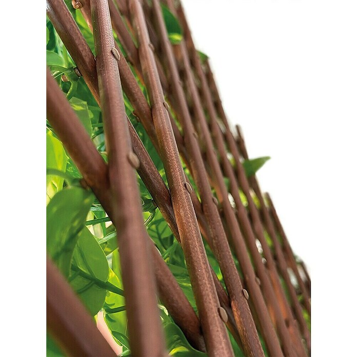 Vertikalni vrt Extensy Green  (Plastika, D x Š: 90 x 180 cm) | BAUHAUS