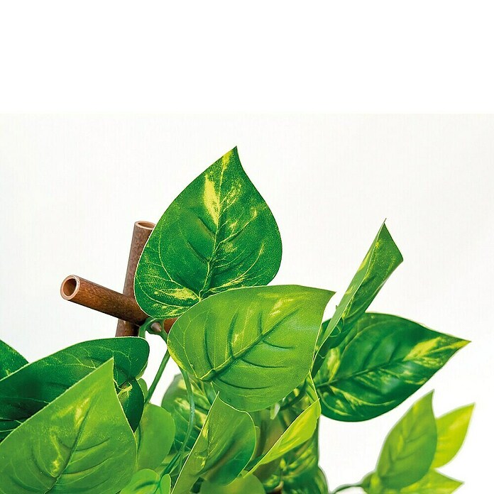 Vertikalni vrt Extensy Green  (Plastika, D x Š: 90 x 180 cm) | BAUHAUS