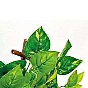 Vertikalni vrt Extensy Green  (Plastika, D x Š: 90 x 180 cm) | BAUHAUS