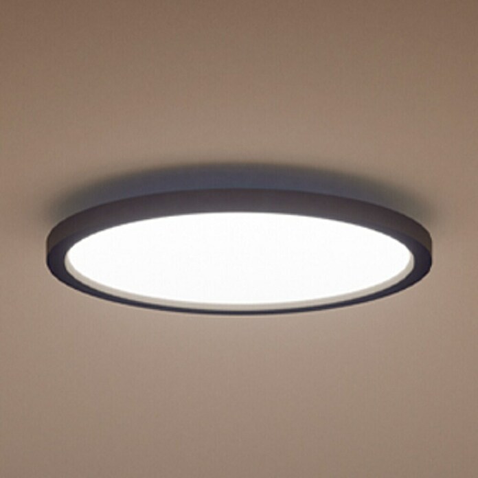 Philips Hue LED-Panel rund White Ambience Aurelle (21 W, Ø x H: 39,5 x 4,7 cm, Schwarz, Schwarz, Warmweiß) | BAUHAUS