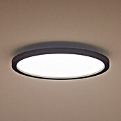 Philips Hue LED-Panel rund White Ambience Aurelle (21 W, Ø x H: 39,5 x 4,7 cm, Schwarz, Schwarz, Warmweiß) | BAUHAUS
