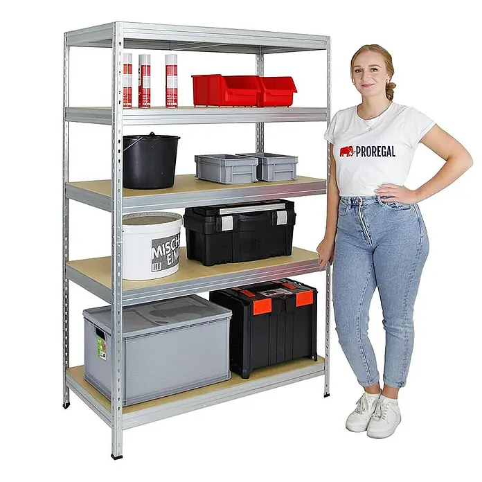 Proregal Schwerlastregal Mega Deal Rivet - Traglast pro Boden: 250 kg, Anzahl Böden: 5 Stk., Stecken, Verzinkt - Ein silbernes Metallregal mit fünf Regalböden, auf denen verschiedene Behälter und Werkzeuge stehen. Daneben steht eine Frau in Jeans und einem weißen T-Shirt.