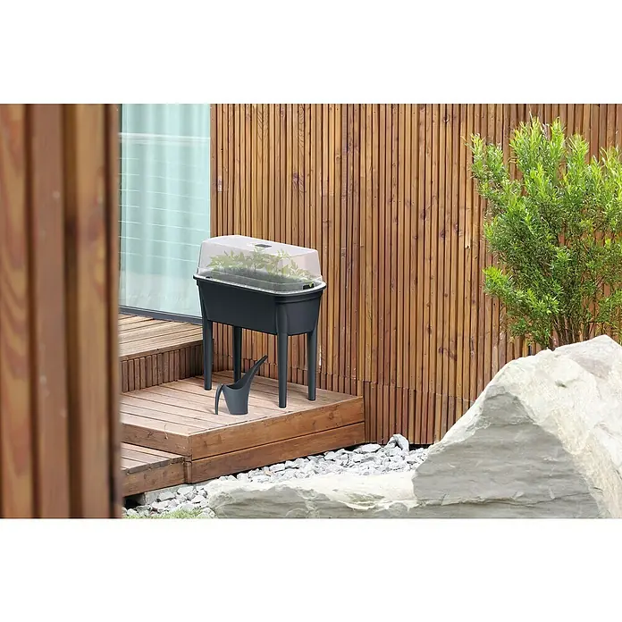 Hochbeet Bloomo - Anthrazit, 77,5 x 37,8 x 82 cm, Kunststoff - Ein erhöhter Pflanzkasten mit transparentem Deckel und Pflanzen, ideal für Gartenarbeit, steht auf einer Holzterrasse neben einer Gießkanne.