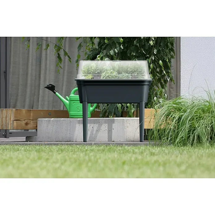 Hochbeet Bloomo - Anthrazit, 77,5 x 37,8 x 82 cm, Kunststoff - Hochbeet mit Abdeckung, ideal für den Anbau von Kräutern und Gemüse im Garten oder auf dem Balkon. Praktische Gartenlösung.