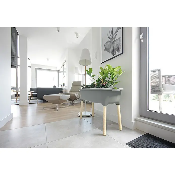 Hochbeet Respana Wood - Anthrazit, 38 x 77 x 79,5 cm, Kunststoff - Zimmeraufnahme mit einem grauen Pflanzgefäß mit Holzbeinen, das mit grünen Pflanzen gefüllt ist, und einem modernen Interieur im Hintergrund.