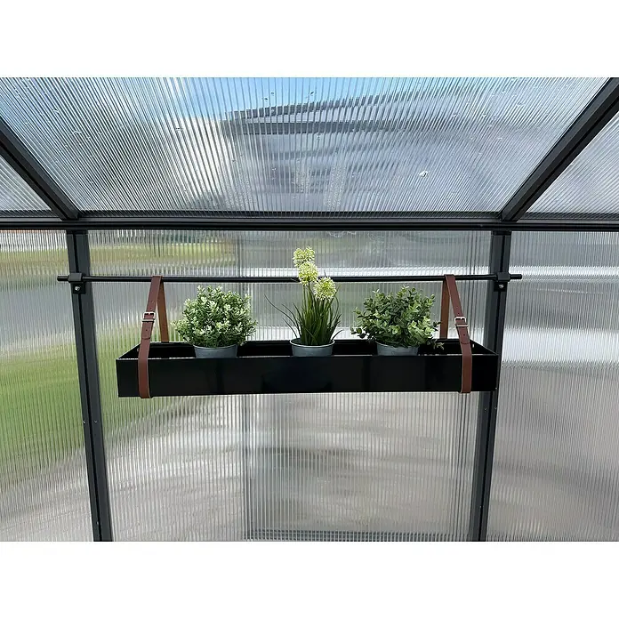 KGT Gewächshaus-Regal - 17 x 90 x 9 cm, Schwarz - Innenaufnahme eines Gewächshauses mit einem hängenden Pflanzgefäß mit drei Topfpflanzen, das an Lederriemen von einer Metallstange hängt.
