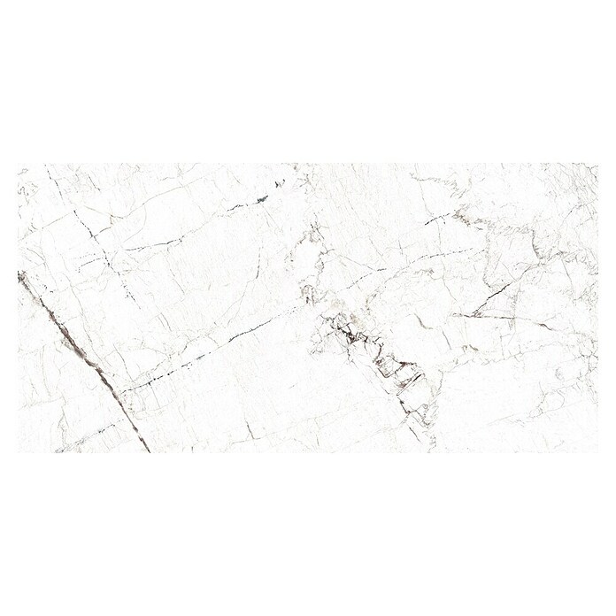 Porculanska pločica Windsor Burgundy  (60 x 120 cm, Bijela, Mat) | BAUHAUS