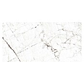 Porculanska pločica Windsor Burgundy  (60 x 120 cm, Bijela, Mat) | BAUHAUS