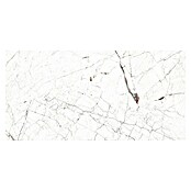 Porculanska pločica Windsor Burgundy  (60 x 120 cm, Bijela, Mat) | BAUHAUS