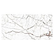 Porculanska pločica Windsor Burgundy  (60 x 120 cm, Bijela, Mat) | BAUHAUS