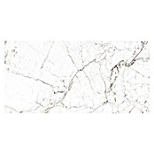 Porculanska pločica Windsor Burgundy  (60 x 120 cm, Bijela, Mat) | BAUHAUS