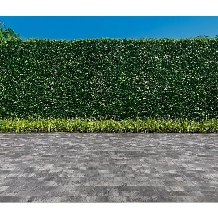 EHL EIBA Pflasterstein - 30 x 13,3 x 6 cm, Grau-Anthrazit, Beton - Eine grüne Hecke und ein mit grauem Stein gepflasterter Boden unter strahlend blauem Himmel bilden eine harmonische Außenkulisse.