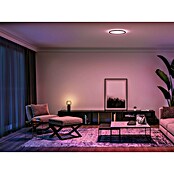 Philips Hue Okrogel LED panel White & Color Ambiance Tento M  (23 W, Ø x V: 42,1 x 3,07 cm, Črna, RGBW) | LED paneli | Stropne svetilke | Svetila | Elektro in svetila | Izdelki | BAUHAUS