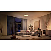 Philips Hue LED panel White Ambiance Tento M  (15,4 W, Do x Š x V: 39,5 x 39,5 x 3,7 cm, Bela, Večbarvno) | LED paneli | Stropne svetilke | Svetila | Elektro in svetila | Izdelki | BAUHAUS