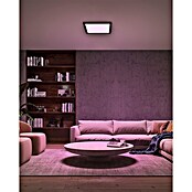 Philips Hue LED panel White & Color Ambiance Tento M  (15,4 W, Do x Š x V: 39,5 x 39,5 x 3,7 cm, Črna, RGBW) | LED paneli | Stropne svetilke | Svetila | Elektro in svetila | Izdelki | BAUHAUS