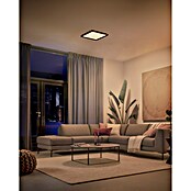 Philips Hue LED panel  (15,4 W, Do x Š x V: 39,5 x 39,5 x 3,7 cm, Večbarvno) | LED paneli | Stropne svetilke | Svetila | Elektro in svetila | Izdelki | BAUHAUS