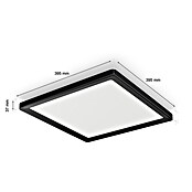Philips Hue LED panel  (15,4 W, Do x Š x V: 39,5 x 39,5 x 3,7 cm, Večbarvno) | LED paneli | Stropne svetilke | Svetila | Elektro in svetila | Izdelki | BAUHAUS